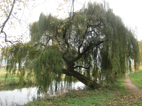 Gennep NL : Die Niers am Niersweg in Gennep